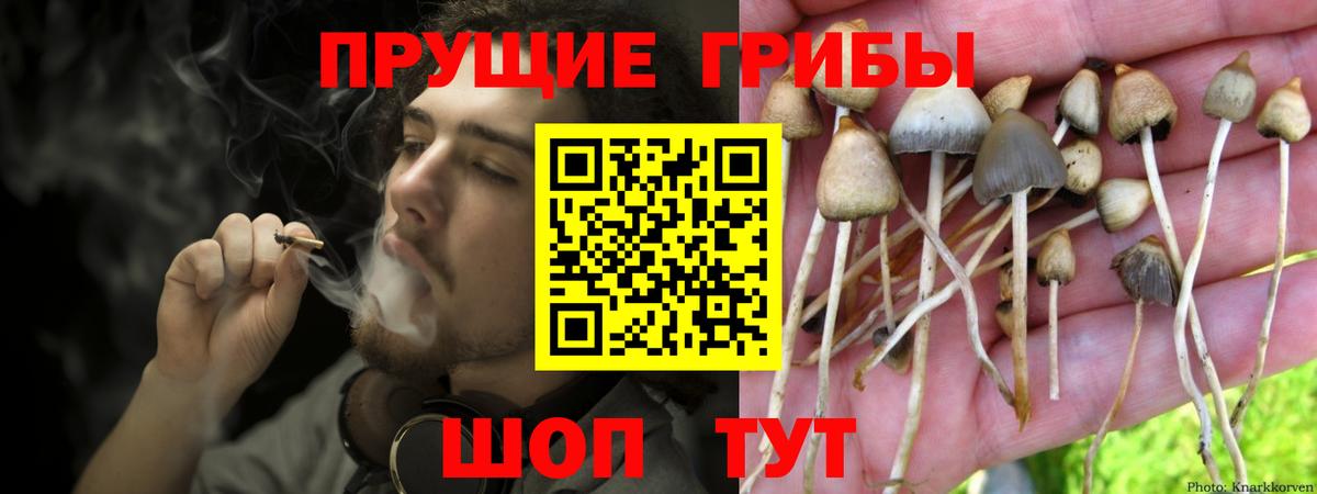 Псилоцибиновые грибы мицелий  даркнет сайт  Артёмовский  Вход с VPN 